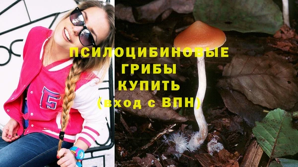 мет Абаза