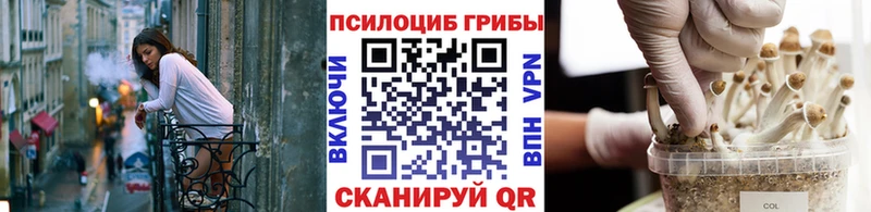 Псилоцибиновые грибы MAGIC MUSHROOMS  МЕГА сайт  Гусь-Хрустальный  купить  